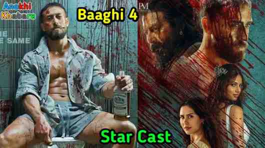 Anokhikhabare.com,Baaghi 4 Box Office Collection,Star Cast