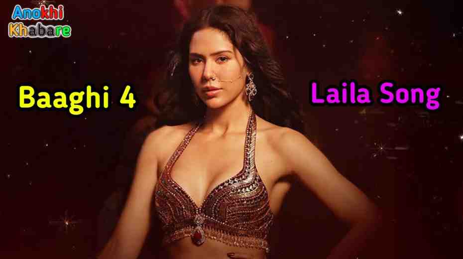 Anokhikhabare.com,Baaghi 4 Box Office Collection,Laila Song