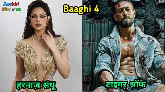 Anokhikhabare.com,Baaghi 4 Box Office Collection,Story