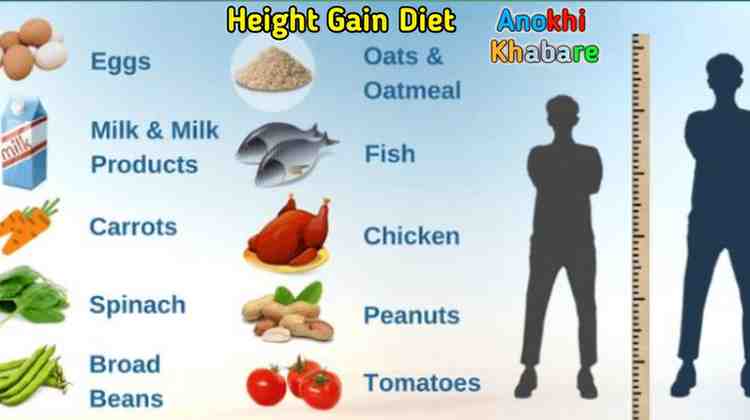 Anokhikhabare.com,Height Gain Diet,Include these essential foods in your height-increasing diet.