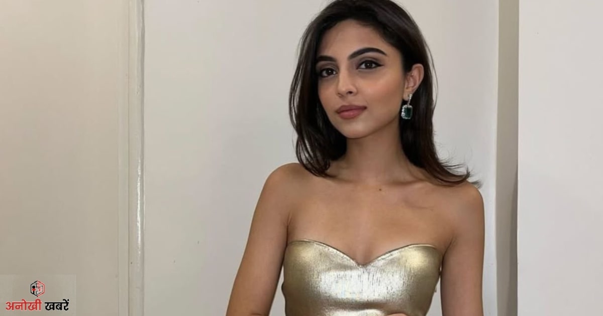 anokhikhabare.com,Who is Aviva Baig,Education and academic background